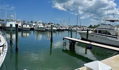 Own not rent your very own 50 x 22 liveaboard boat slip in Key - photo 5