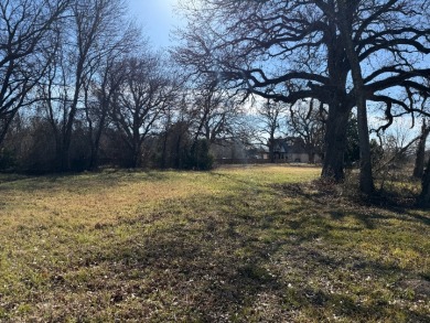 1 Acre Lake Subdivision Lot - The Shores - Corsicana, TX - photo 9