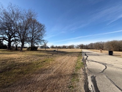 1 Acre Lake Subdivision Lot - The Shores - Corsicana, TX - photo 37