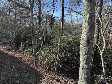 Lake Lot For Sale in Landrum, South Carolina