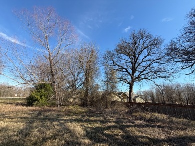1 Acre Lake Subdivision Lot - The Shores - Corsicana, TX - photo 17