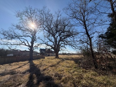 1 Acre Lake Subdivision Lot - The Shores - Corsicana, TX - photo 15