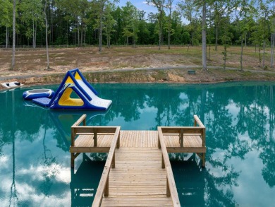 Welcome to The Cottages at Smith Lake - A Luxury Tiny Home - photo 22