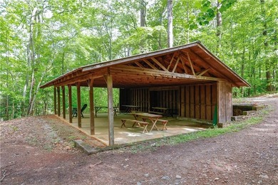 **Lake Lanier Cottage Retreat at 452 Laina Bennett, Dawsonville - photo 37