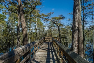 Set within the amenity-rich community of Cypress Dunes, 20 - photo 43