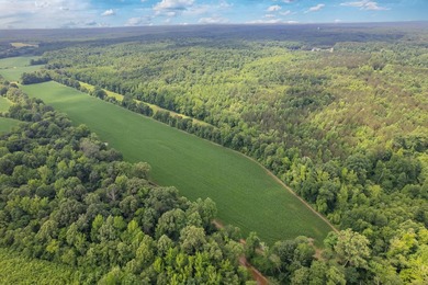 This expansive Tennessee estate offers an unrivaled blend of - photo 43