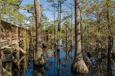 Set within the amenity-rich community of Cypress Dunes, 20 - photo 44