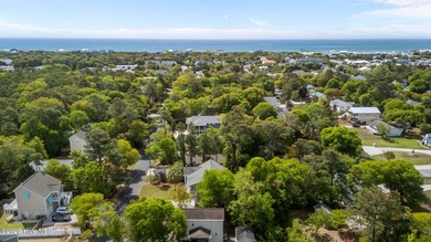 Welcome to 325 Live Oak Street, a beautifully crafted - photo 44