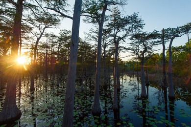 Set within the amenity-rich community of Cypress Dunes, 20 - photo 46