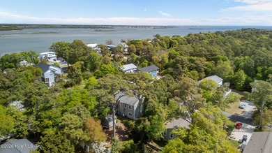 Welcome to 325 Live Oak Street, a beautifully crafted - photo 48