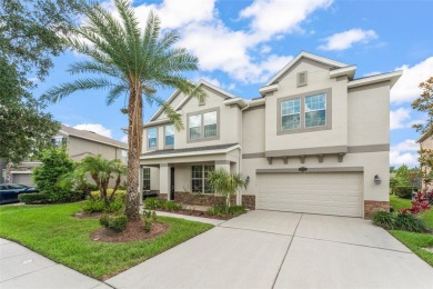 Lake Home For Sale in Tampa, Florida