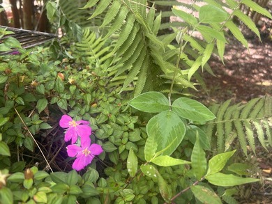 BUILD YOUR DREAM - Black Sand Beach Subdivision! This beautiful - photo 1