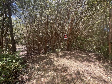 BUILD YOUR DREAM - Black Sand Beach Subdivision! This beautiful - photo 3