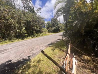 BUILD YOUR DREAM - Black Sand Beach Subdivision! This beautiful - photo 5