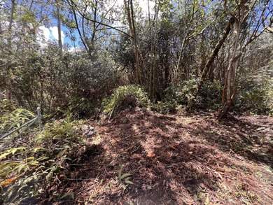 BUILD YOUR DREAM - Black Sand Beach Subdivision! This beautiful - photo 6