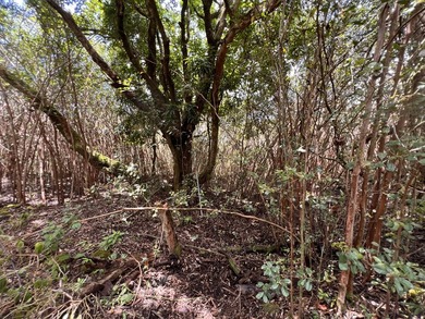 BUILD YOUR DREAM - Black Sand Beach Subdivision! This beautiful - photo 8