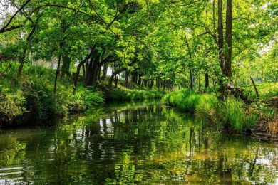 (private lake, pond, creek) Acreage For Sale in Fredericksburg Texas