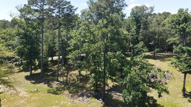 129 Ft of Lake Hamilton Waterfront | Build-Ready .75-Acre Lot | - photo 8