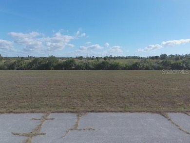 Rotunda Meadows Lakes  Lot For Sale in Placida Florida