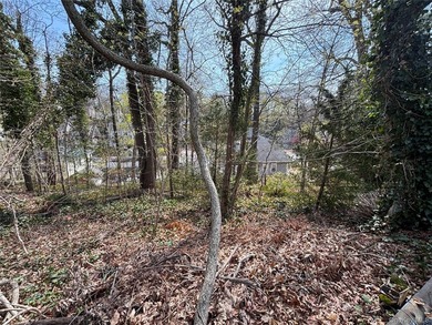 Halesite Building Lot For Sale. Some Elevation and Plotting Has - photo 1