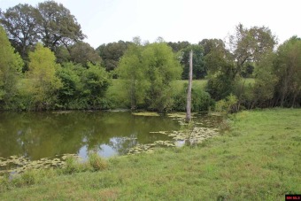 White River - Baxter County Acreage For Sale in Flippin Arkansas