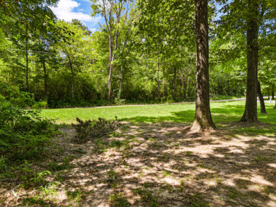 Buildable Northside Lot, Great fishing & duck hunting! - photo 7