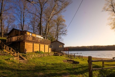 Lake Home For Sale in Lake, Michigan