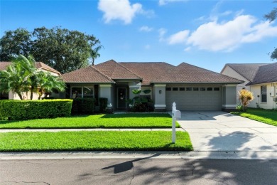 Lake Home For Sale in Tampa, Florida