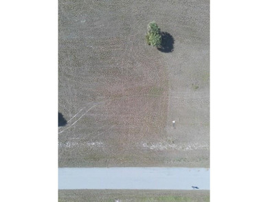If you're seeking privacy in a growing area of Placida, this - photo 3