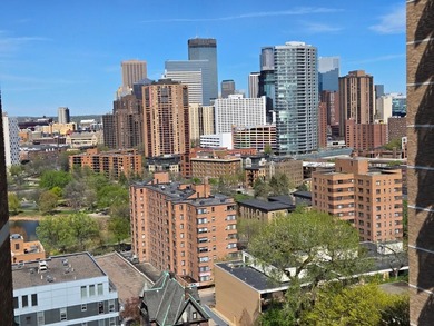 This rare 17th-floor, two-bedroom, one-bathroom condo offers - photo 33