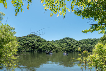 Rare Opportunity for a Center Hill Lakefront Home SOLD - Lake Home SOLD! in Silver Point, Tennessee