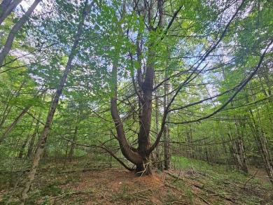 Lake Acreage For Sale in Warren Center, Pennsylvania