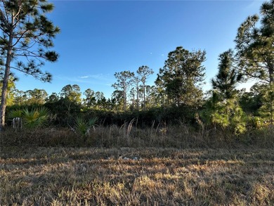 Port Charlotte Waterway Area Lot For Sale in Port Charlotte Florida