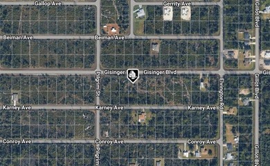 Great residential lot to build your future home on or investment - photo 2