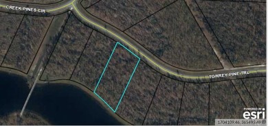 Lake Lot For Sale in Wewahitchka, Florida