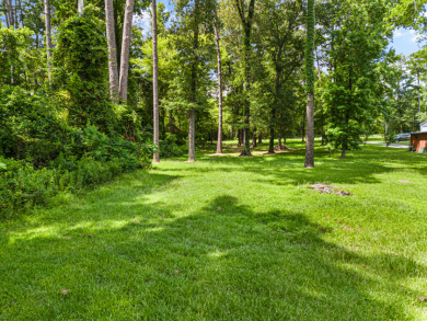 Buildable Northside Lot, Great fishing & duck hunting! - photo 5