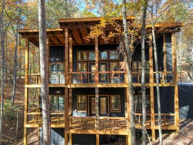 Lake Home For Sale in Morganton, Georgia