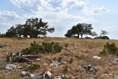 Lake Lot For Sale in Kerrville, Texas