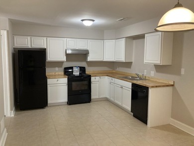 Fantastic opportunity to acquire possibly the biggest Quadplex - photo 3