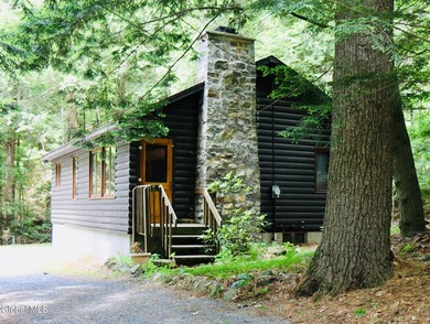 Loon Lake Deeded Beach/Water Access. Welcome to Bella Luna - - photo 1