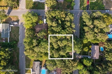 Build your dream home on this undeveloped 5,001+/- sq. ft. lot - photo 1