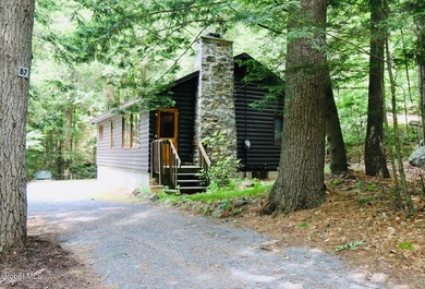 Loon Lake Deeded Beach/Water Access. Welcome to Bella Luna - - photo 3