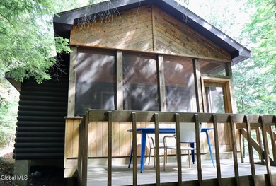 Loon Lake Deeded Beach/Water Access. Welcome to Bella Luna - - photo 7