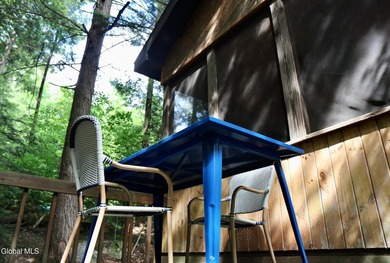 Loon Lake Deeded Beach/Water Access. Welcome to Bella Luna - - photo 10