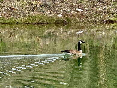 Welcome to the Rockin N River Ranch, this absolutely one of a - photo 16