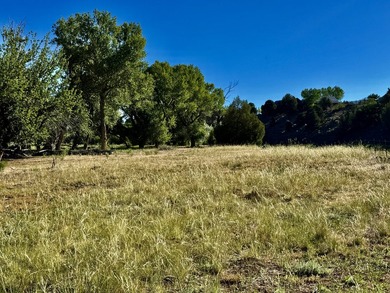 Welcome to the Rockin N River Ranch, this absolutely one of a - photo 21