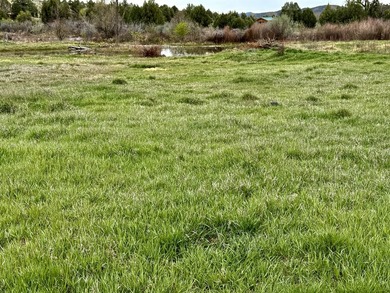 Welcome to the Rockin N River Ranch, this absolutely one of a - photo 24
