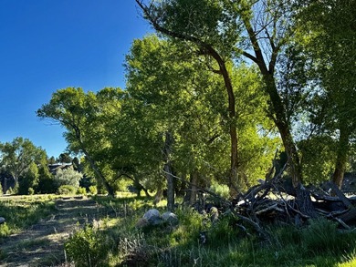 Welcome to the Rockin N River Ranch, this absolutely one of a - photo 25