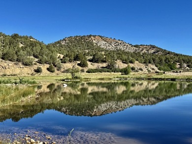 Welcome to the Rockin N River Ranch, this absolutely one of a - photo 31