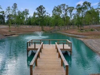 Welcome to The Cottages at Smith Lake - A Luxury Tiny Home - photo 31
